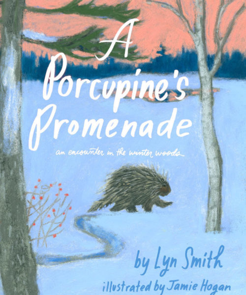 A Porcupine’s Promenade